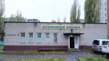 Ветеринарная клиника Доктор Вет на улице 20-летия Октября изображение 4